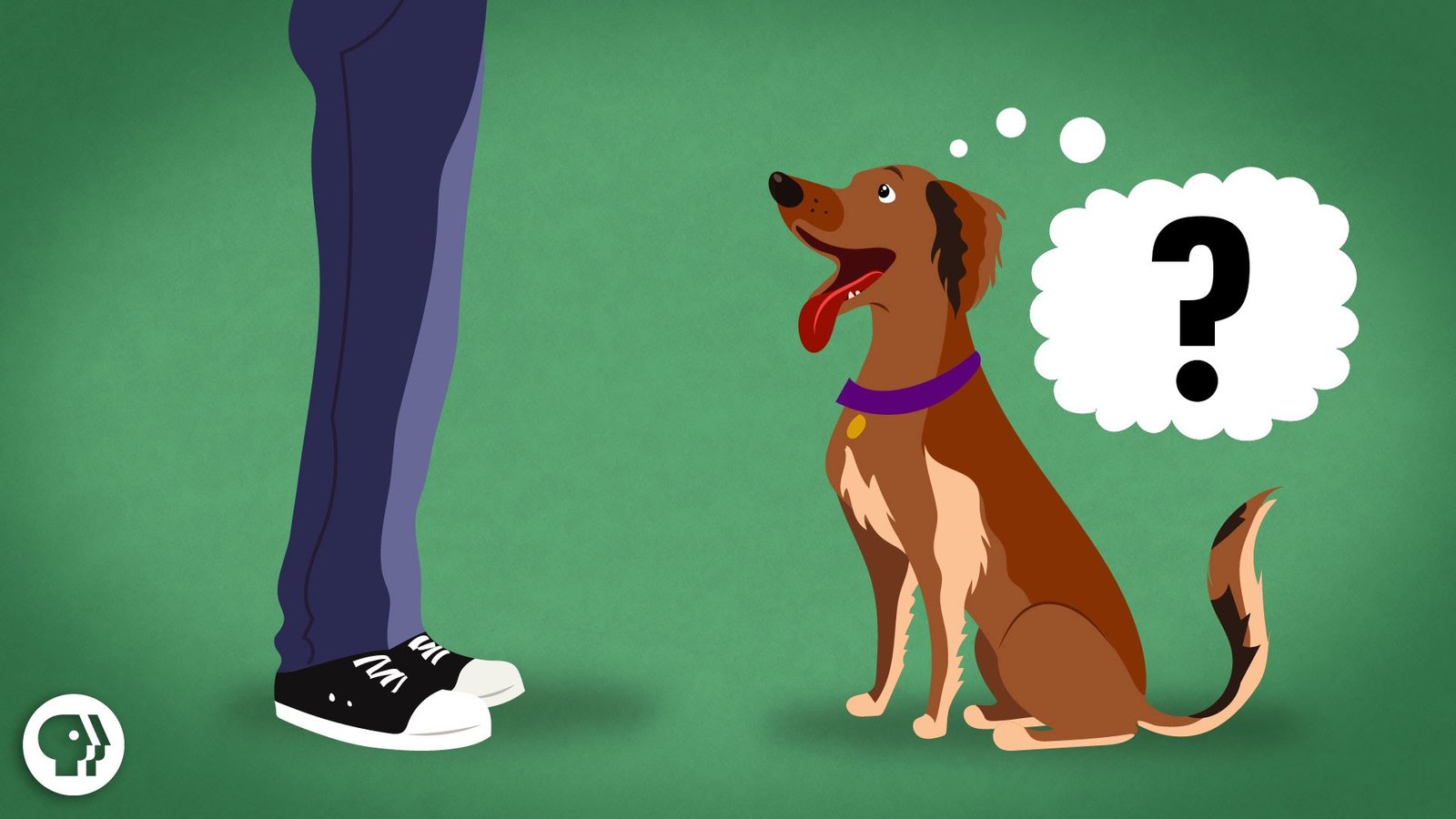 Dog with 1000 Vocabulary ! Dog with 1000 Vocabulary !