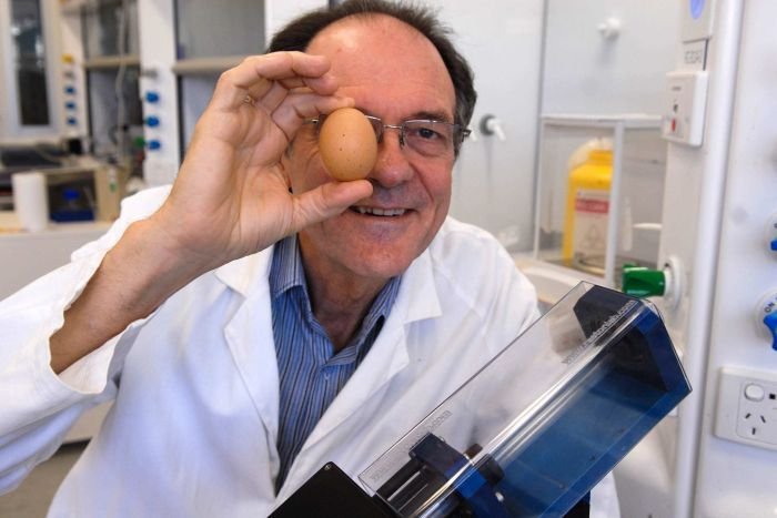 This Scientist Un-boiled an Egg ! This Scientist Un-boiled an Egg !