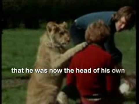 Christian the lion Christian the lion