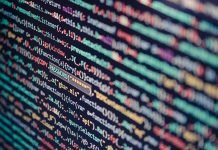 Elastico Agency: Pioneering Your Digital Evolution