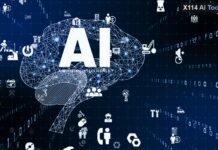 X114 AI Tools Hub: The Founder’s Blueprint for a Constantly Evolving Directory